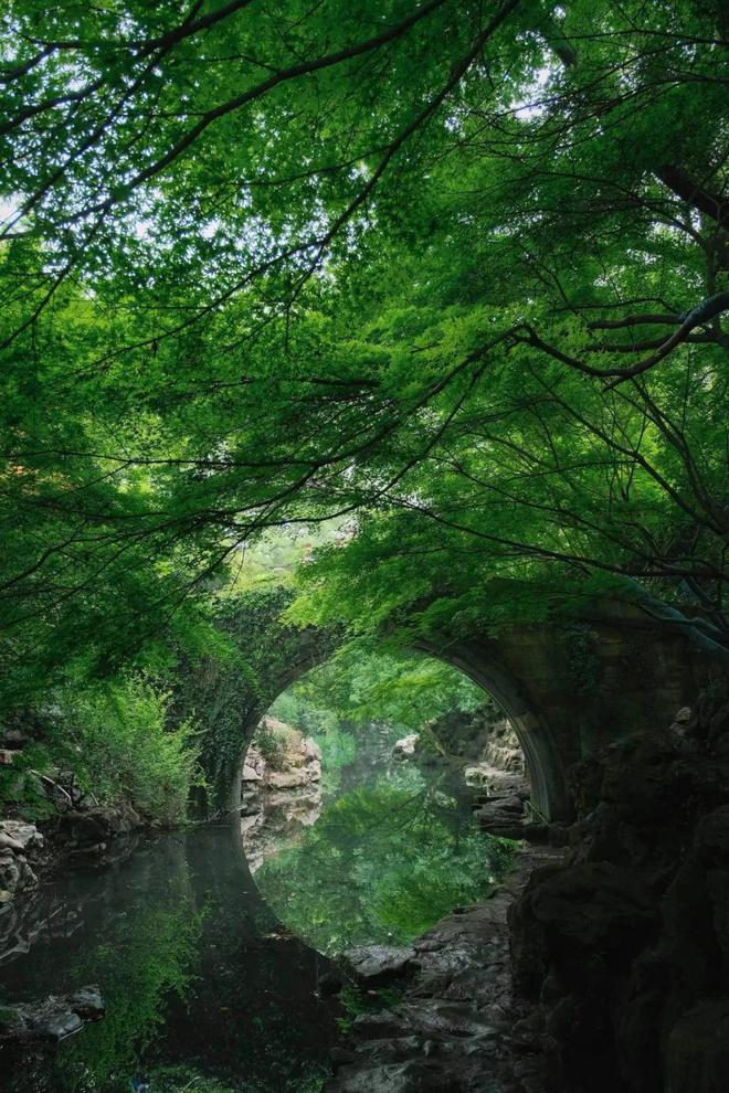 欧陆平台注册:西湖边又一位大爷火了!有人为了他退票、改签!“这事,全看缘分”