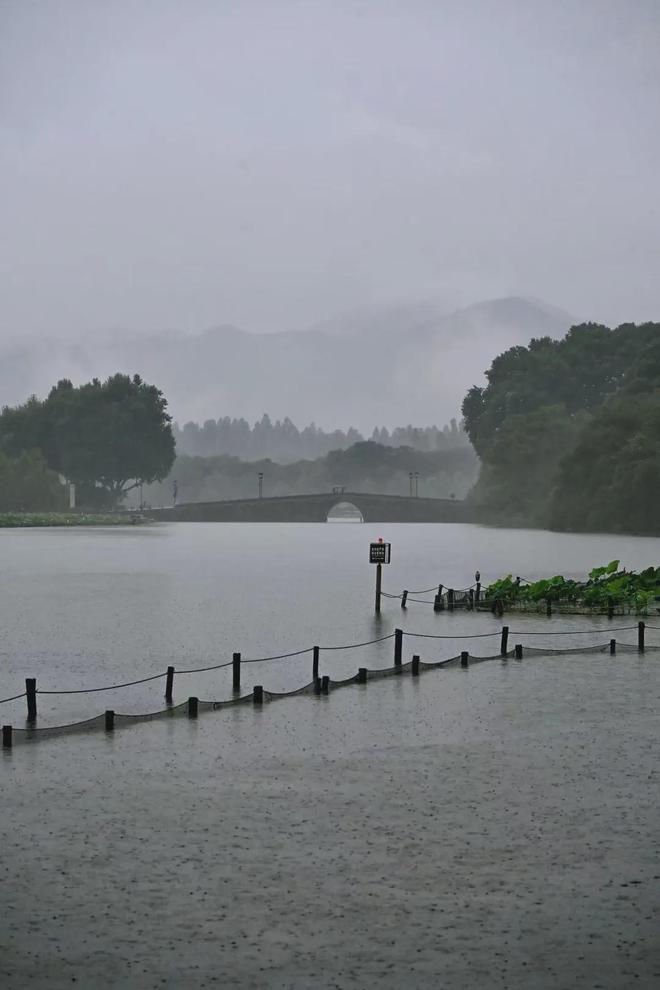 欧陆平台注册:西湖边又一位大爷火了!有人为了他退票、改签!“这事,全看缘分”