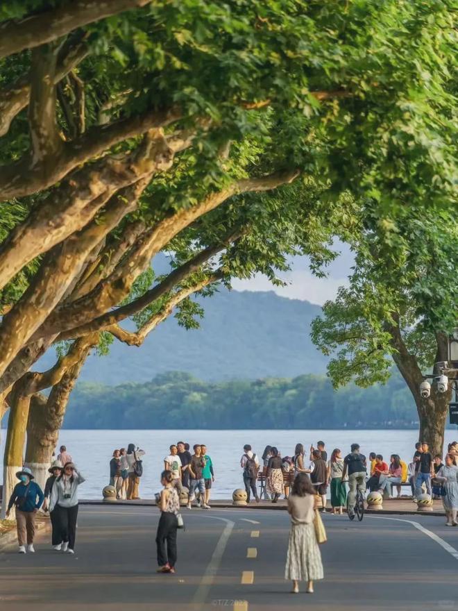 欧陆平台注册:西湖边又一位大爷火了!有人为了他退票、改签!“这事,全看缘分”